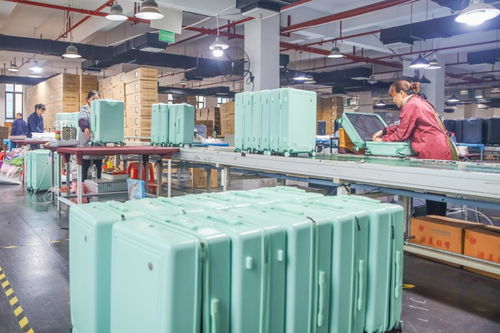 國際旅行勞務(wù)品牌 永州2023年度特色勞務(wù)新亮點(diǎn)